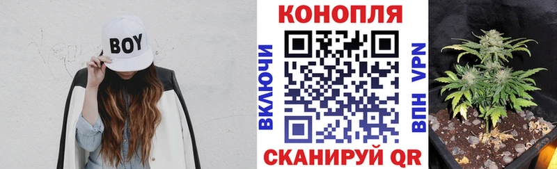 Меф мяу мяу Торопец