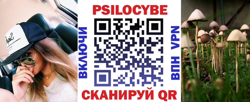Галлюциногенные грибы Psilocybe  ссылка на мегу tor  Торопец 